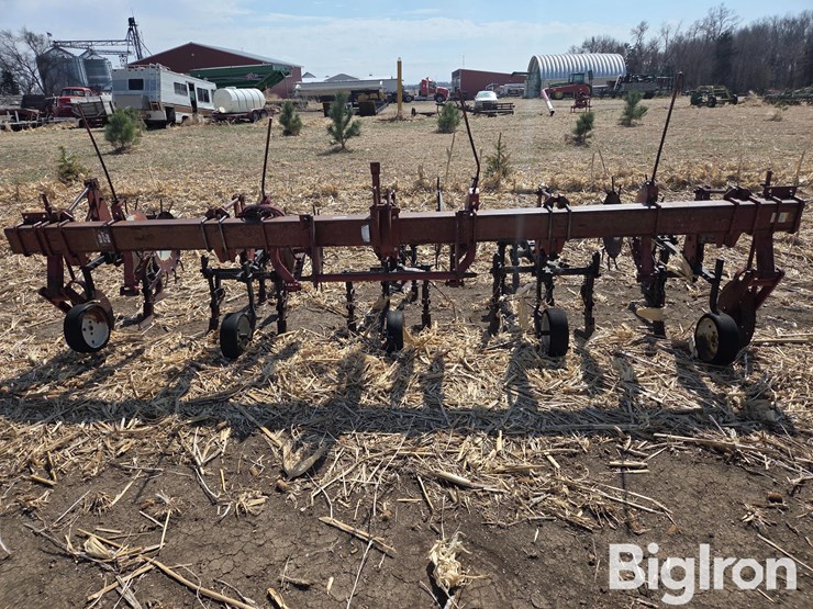 international-153-image-2