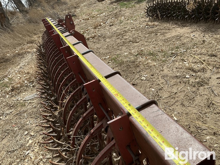 international-181-image-12