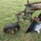 tractor-plow-attachment-image-6