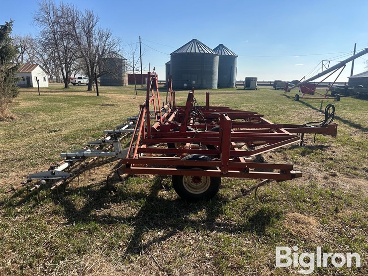 international-45-image-4