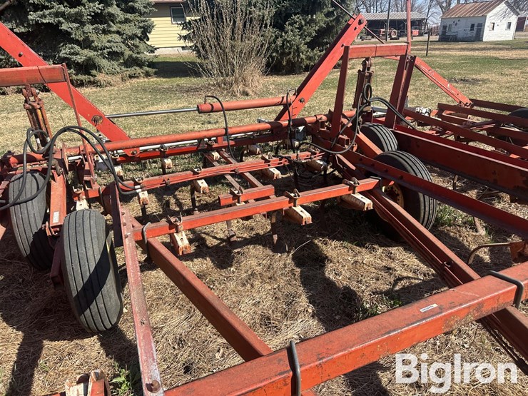 international-45-image-15