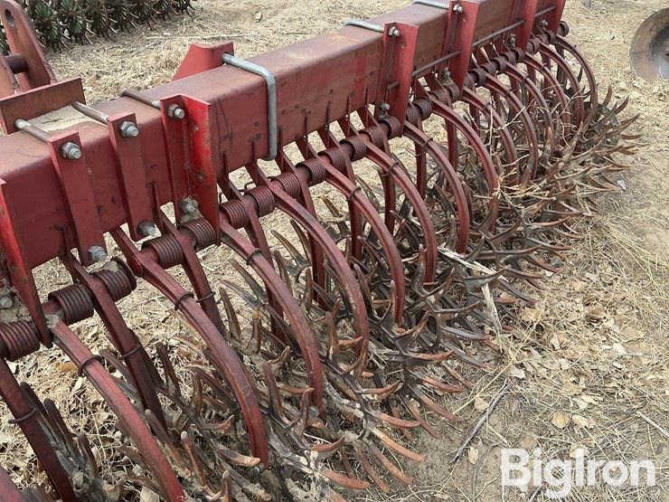 international-181-image-16