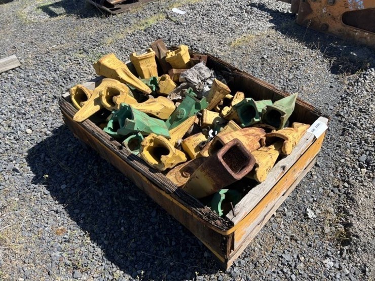 cat-bucket-teeth-image-2