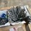 #2528-•-pallet-of-insulation-screws-(columbia-heights,-mn)-image-6