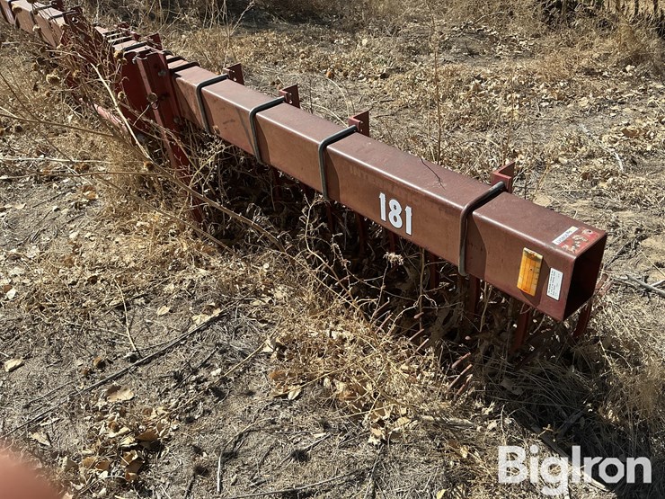 international-181-image-9