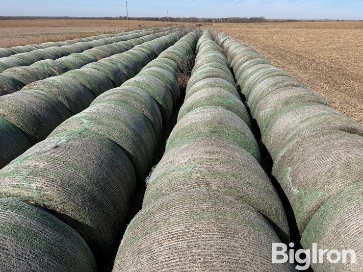 2024-oat-hay-image-9