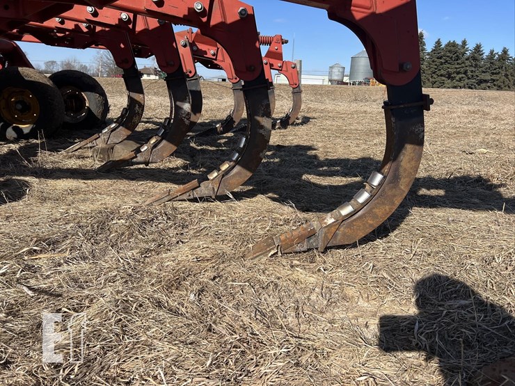 sunflower-4110-image-12