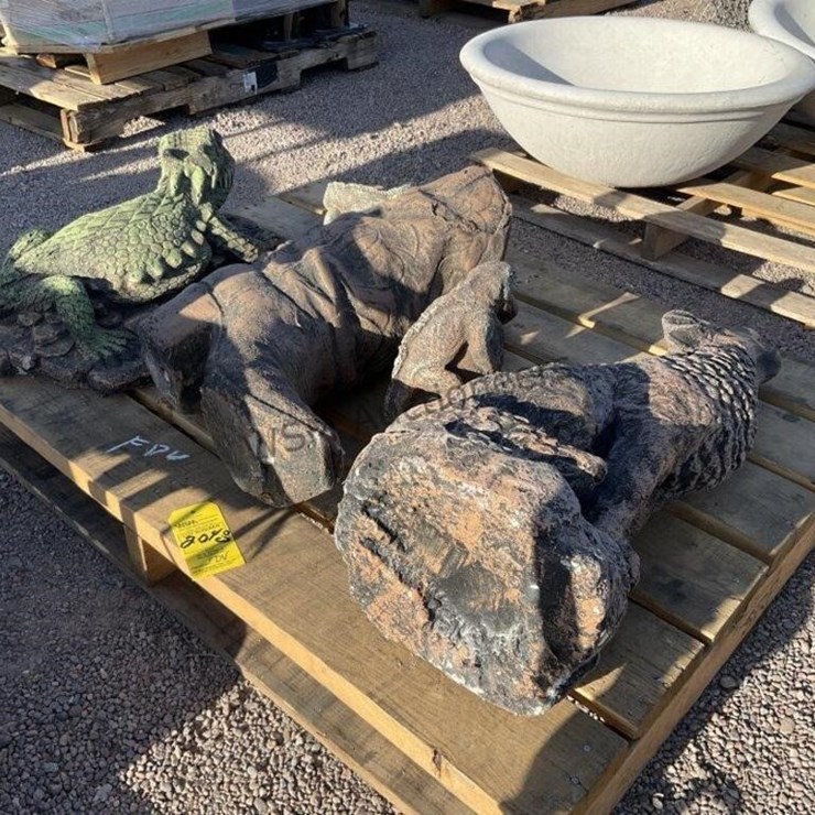 CONCRETE LIZARDS , COWBOY BOOT & COYOTE