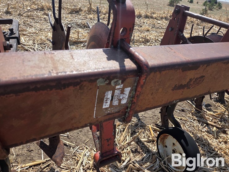 international-153-image-14