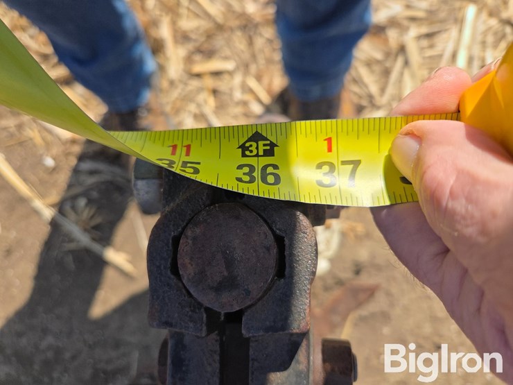 international-153-image-19