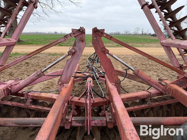 international-490-image-11