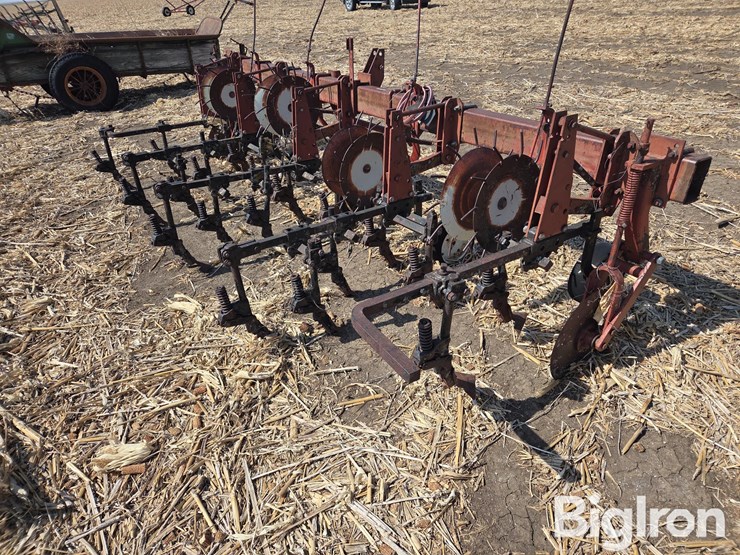 international-153-image-5