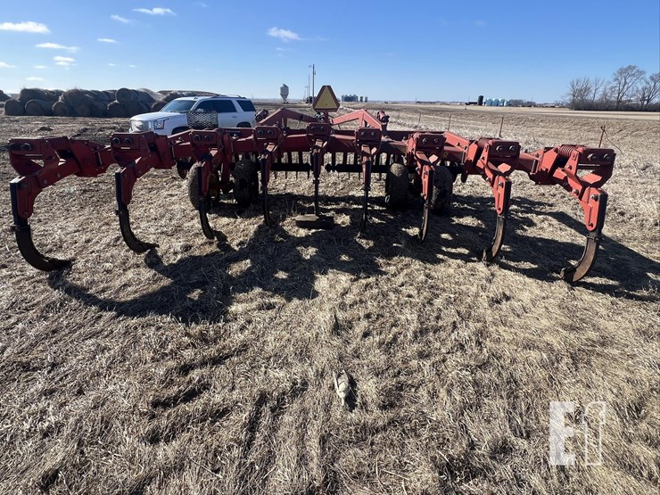 sunflower-4110-image-7