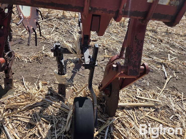 international-153-image-12