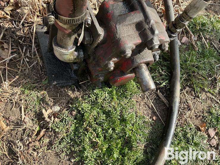 international-m-image-15