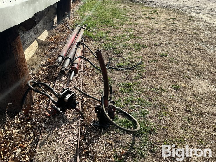 international-m-image-4