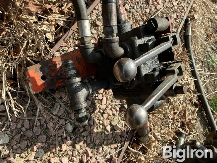 international-m-image-20