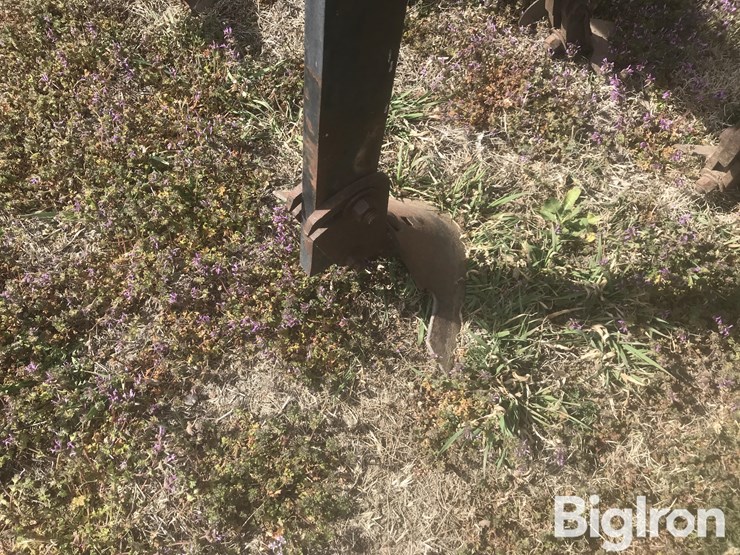 bigham-brothers-s-389-7-row-3-bar-cultivator-image-20