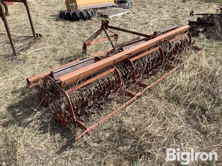 international-3-image-7