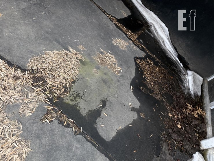 2001-featherlite-16-ft-image-33