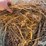 2024-oat-hay-image-13