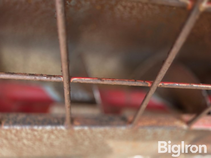 feterl-auger-image-18