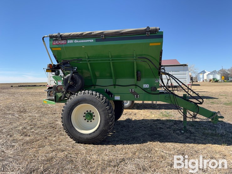 bbi-grasshopper-image-4