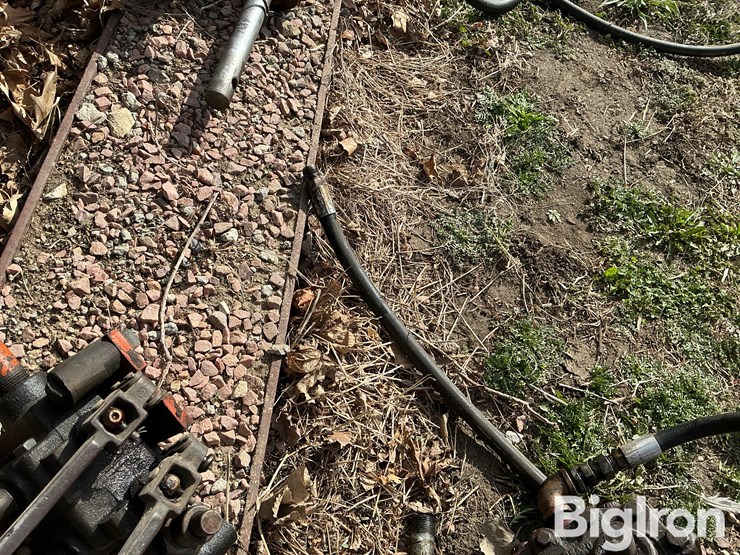 international-m-image-19