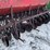 #154-•-mccormick-grain-drill-(mason,-wi)-image-10