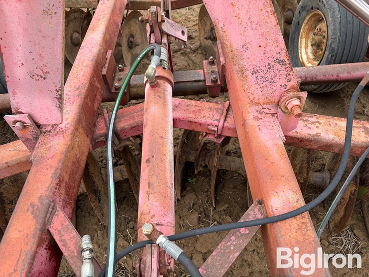 international-490-image-13