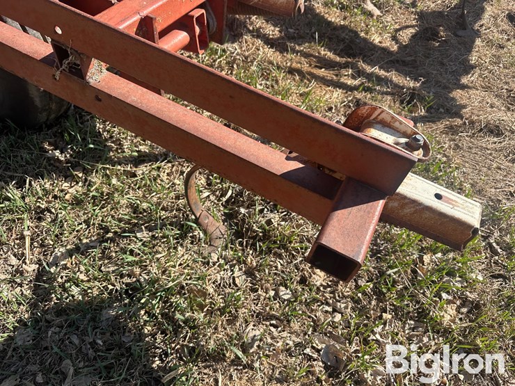 international-45-image-19