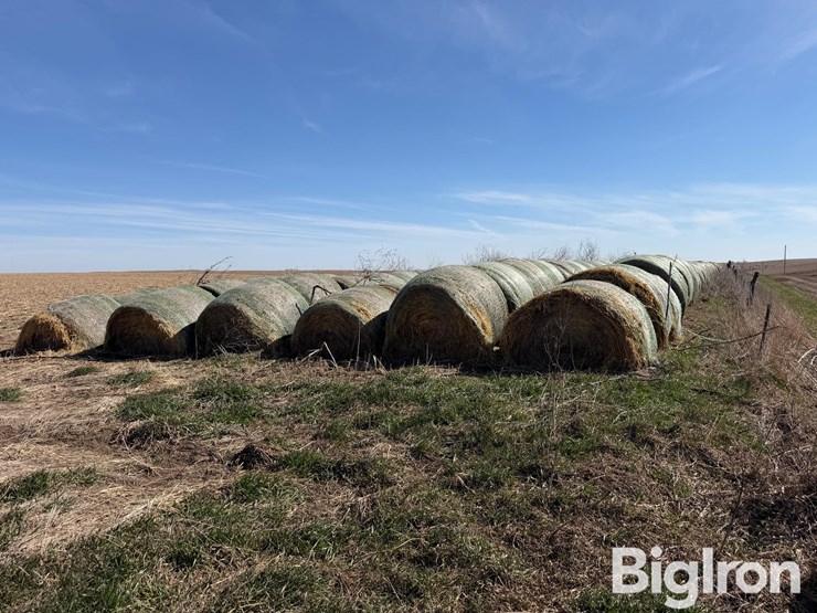 2024-oat-hay-image-5