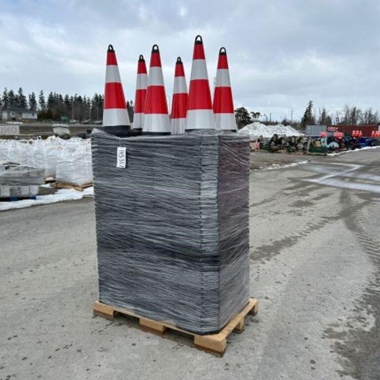 UNUSED 2025 Qty Of (250) SDLANCH IRSTC Safety