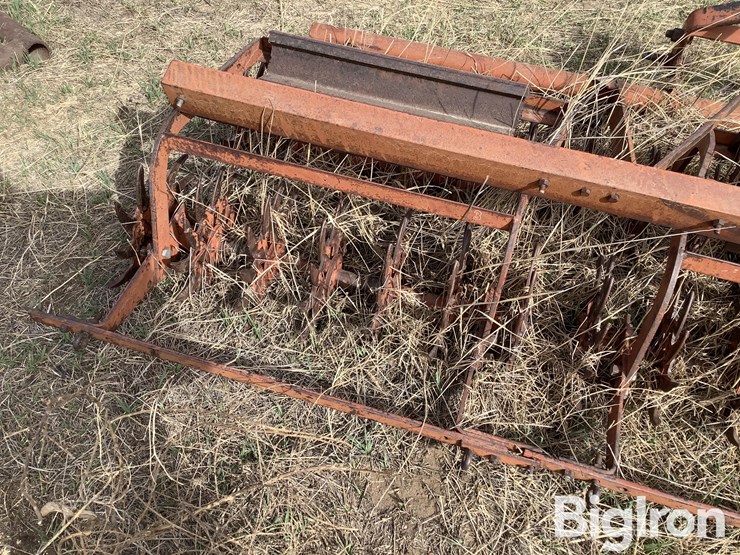 international-3-image-15