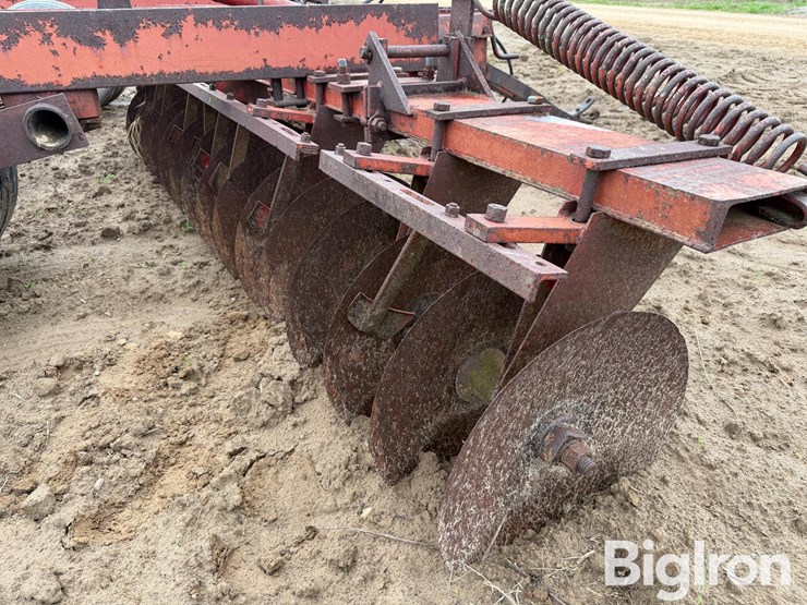 international-470-image-20