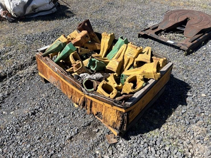 cat-bucket-teeth-image-1