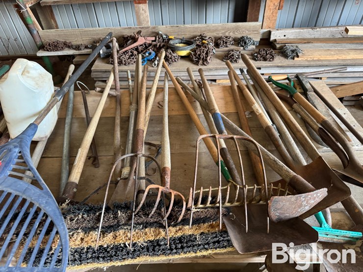 shovels-&-hand-tools-image-5