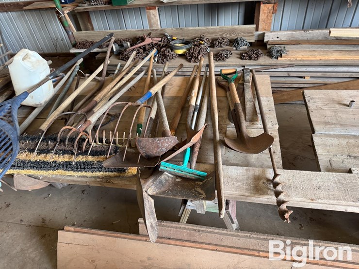 shovels-&-hand-tools-image-4