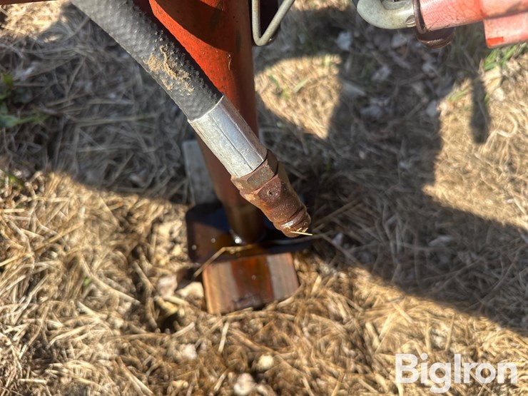 international-45-image-12