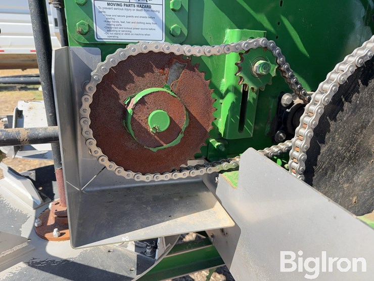 bbi-grasshopper-image-13