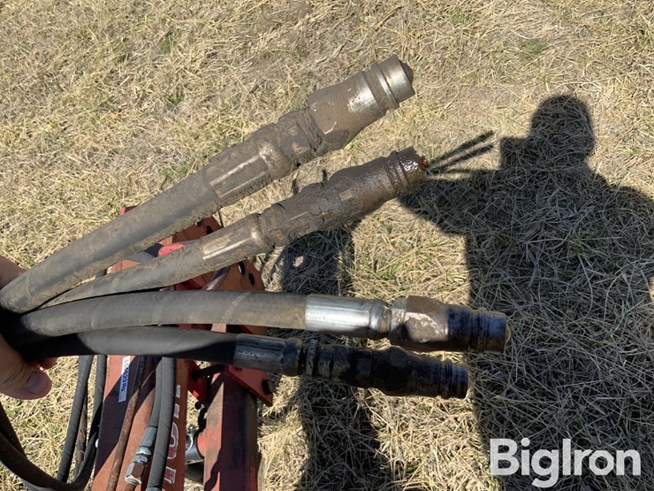 wil-rich-2500-image-10