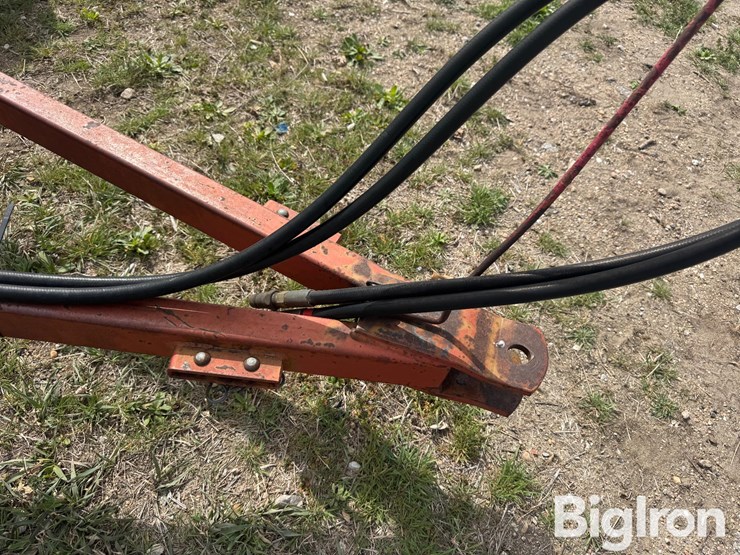 international-310-image-10