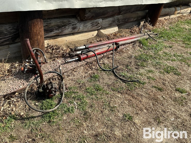 international-m-image-3