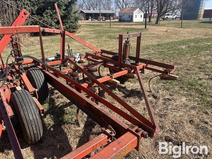 international-45-image-13