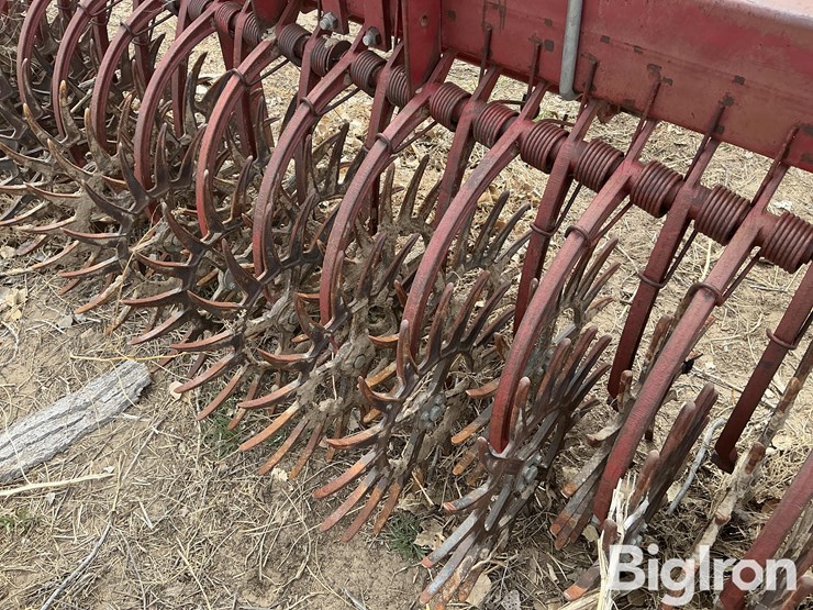 international-181-image-14