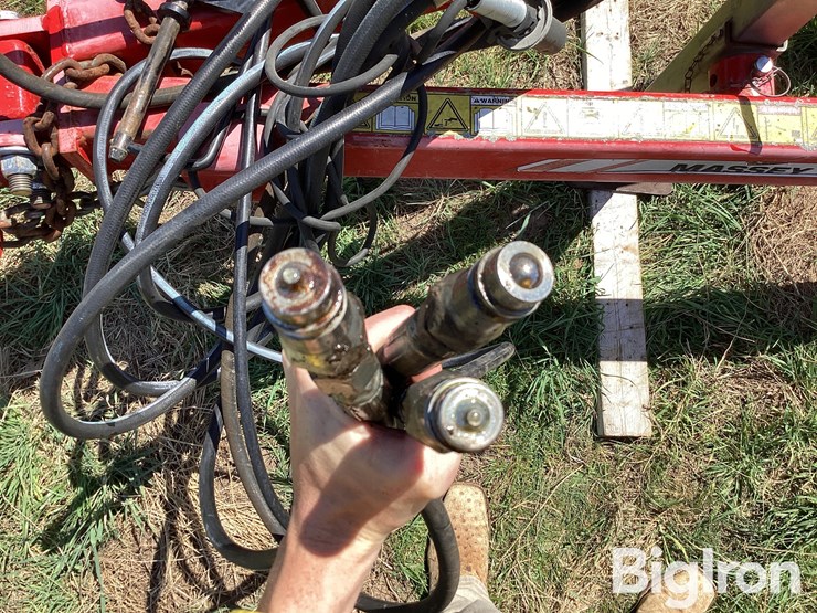 2014-sunflower-1435-image-12