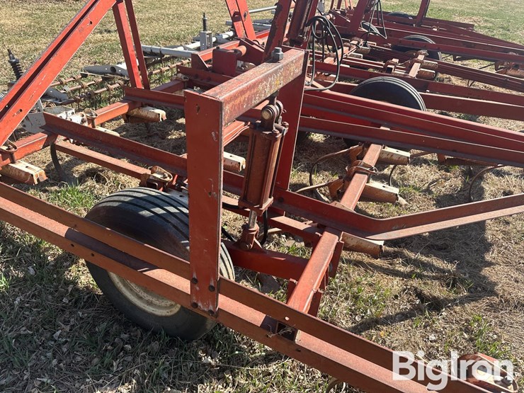 international-45-image-20