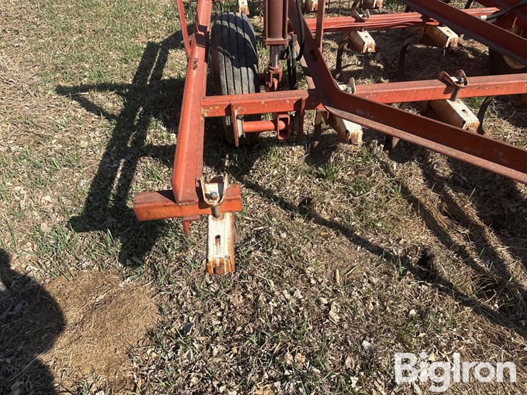 international-45-image-18