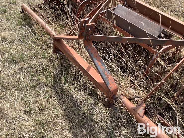 international-3-image-10