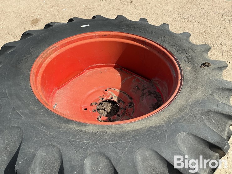 international-20-image-10